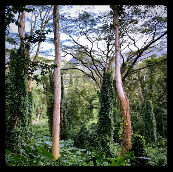 Meet your Posher, Mari - Picture 1 of 1